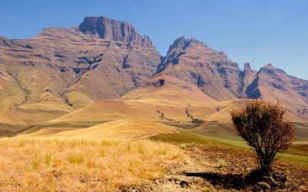 Mantle waves buoy continents upward and bedeck them with diamonds