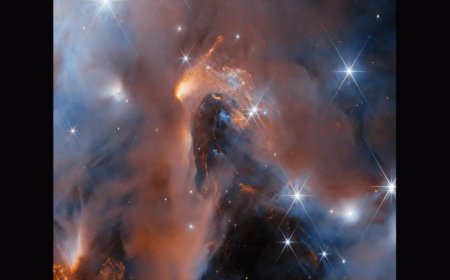 The Webb telescope’s peek into a stellar nursery finds baby planets too