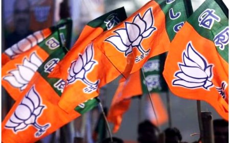 Jammu And Kashmir Assembly Elections: BJP Releases 3rd List of 29 Candidates; Devinder Singh Rana To Contest From Nagrota
