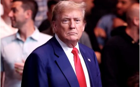 US Presidential Elections 2024: Trump Names Robert F Kennedy, Tulsi Gabbard In Transition Team