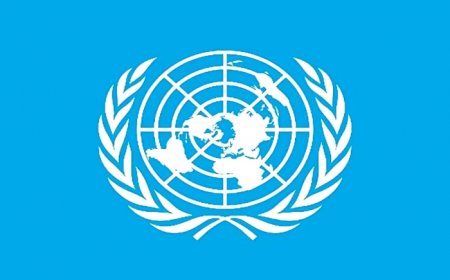 United Nations Vehicle In Gaza Hit By Israeli Gunfire