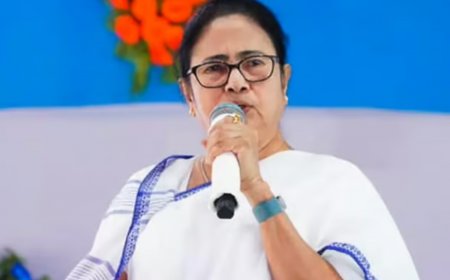 Lawyers File Complaint Against West Bengal CM Mamata Banerjee Over ‘If You Burn’ Warning
