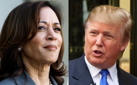 Kamala Harris’ Edge Over Trump With Boost From Women, Hispanics: Report