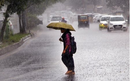 IMD Predicts Heavy Rain In Odisha As Low Pressure Intensifies Into Depression; Full Forecast