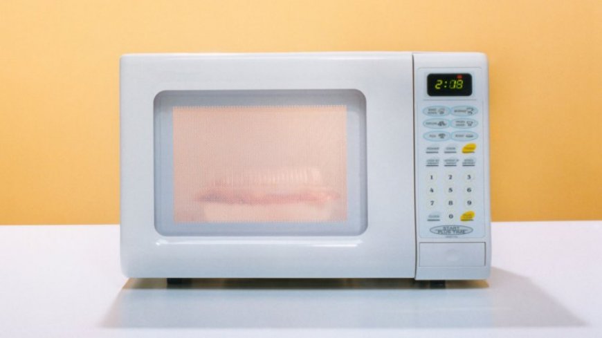 Some bacteria can flourish in microwave ovens