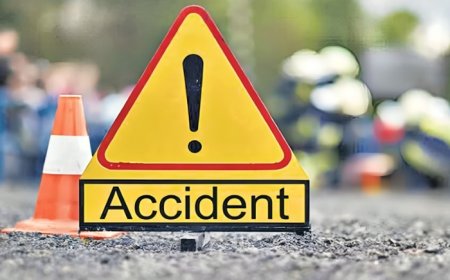 Thane: Truck Carrying Chemicals Crashed While Travelling To Punjab, One Person Injured