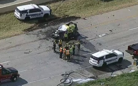 4 Indians From Hyderabad And TN Charred To Death In Multi-Car Crash In US, They Connected Via Carpooling App