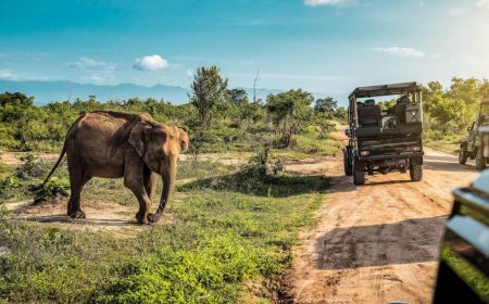 Another country just went visa-free for American tourists