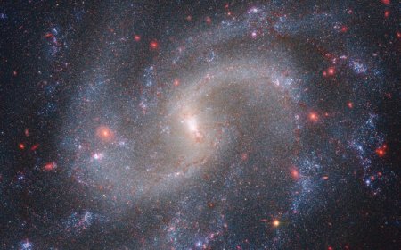 In an epic cosmology clash, rival scientists begin to find common ground 