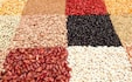 Weight Loss Tips: How to Revive Your Metabolism and Stay on Track?