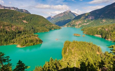 National park hiker missing for 30 days found alive