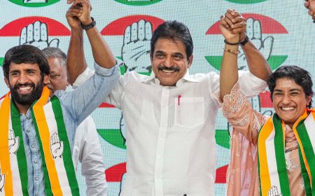 Haryana Assembly Polls: Wrestlers Vinesh Phogat, Bajrang Punia Join Congress