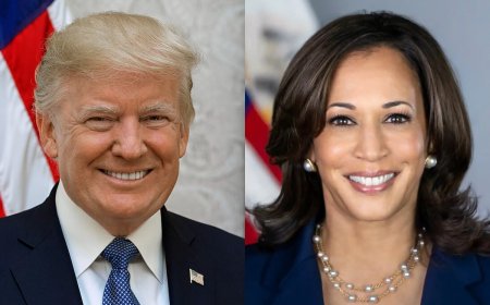 Donald Trump Or Kamala Harris, Who Will Be Next US President? Expert Forecaster Allan Lichtman, Known For Accurate Predictions Answers