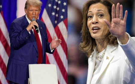 Hindu Group Endorses Trump Over Harris In US Presidential Elections, Says ‘He Is Very Pro-India’