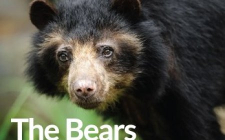 Readers discuss black holes’ trippy effects on time, banned swimsuits