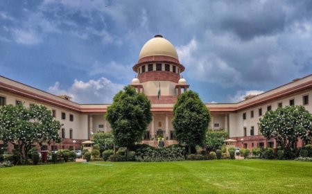 ‘Return To Work By 5 PM On Tuesday And No Action Will Be Taken’: Supreme Court To Protesting Doctors
