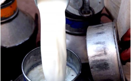 Dairy Price Hike in Pakistan’s Peshawar Amid National Inflation; Shopkeepers Set Their Own Prices