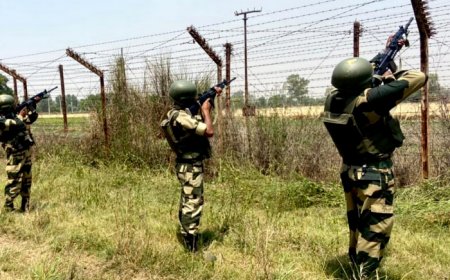 BSF troop injured as Pakistan violates ceasefire along Jammu border
