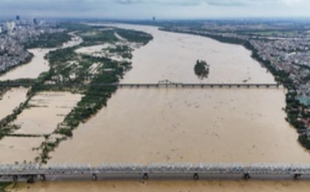 Typhoon Yagi leaves 141 dead, 59 missing in Vietnam
