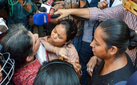 Kolkata Rape-Murder Case: Protesting Doctors Write To CM Mamata Banerjee, Seek Meeting