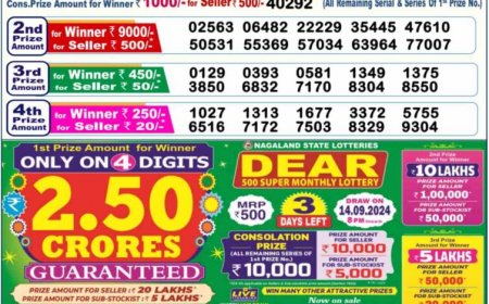 Nagaland State Sambad Lottery Result 12.09.2024 For 1PM, 6PM, 8PM Live: Check Dear Mahanadi Morning Lucky Draw Result 1 Crore First Prize Complete Winners List