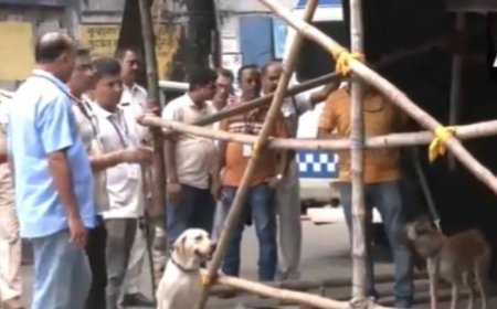 Bomb Scare At RG Kar Hospital: Suspicious Bag Found Near Doctors’ Protest Site, area cordoned off