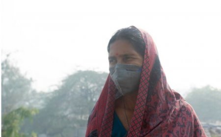 Mysterious fever in Gujarat claims 14 lives: 5 things to know