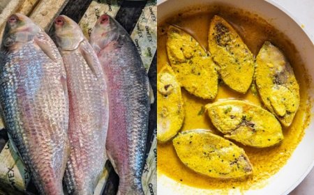 ‘Hilsa Diplomacy’? No Padma Ilish maach from Bangladesh for Bengalis this Durga Puja, Here’s why