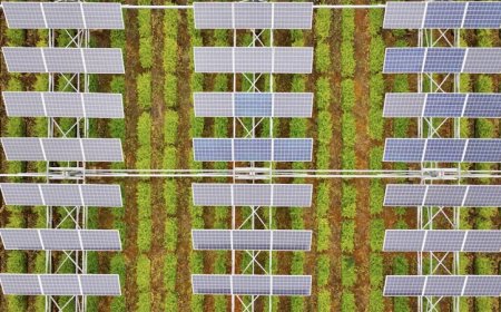Can solar farms and crop farms coexist?