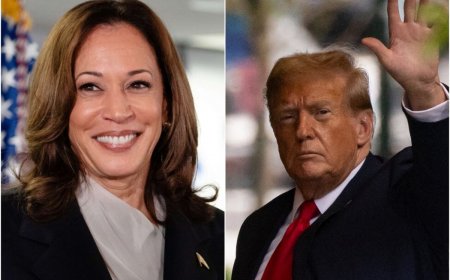 ‘Maybe, if I got in the right mood….’, Donald Trump on another debate with Kamala Harris