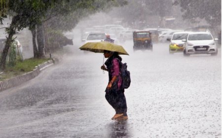 Madhya Pradesh, Jharkhand and these states to receive heavy rainfall, IMD issues red alert | Full weather forecast here