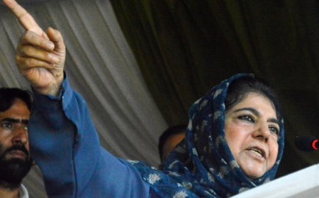 J-K Polls: BJP trying to ‘bury’ Kashmir issue, Article 370; PDP fighting to prevent this, says Mehbooba Mufti