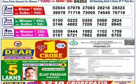 Nagaland State Sambad Lottery Result 1PM, 6PM, 8PM for 17.09.2024 Live: Check Dear GODAVARI MORNING Lucky Draw Result 1 Crore First Prize Complete Winners List