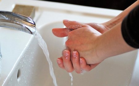 How to avoid Covid, colds, Norovirus, and more on a cruise