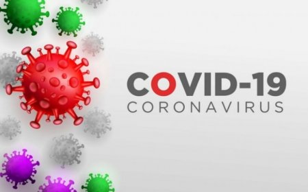 New Covid variant XEC: 5 latest developments to know about this contagious virus