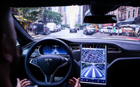 New study exposes huge flaw with Tesla Autopilot and its copycats