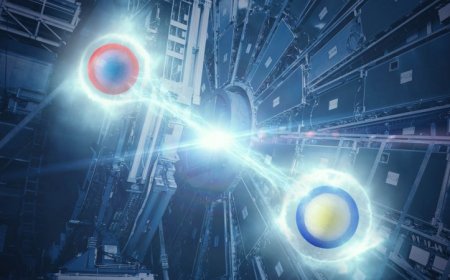 The Large Hadron Collider exposes quarks’ quantum entanglement