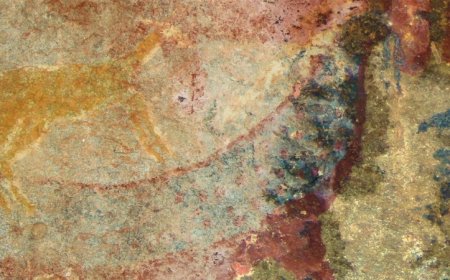 Fossils of an extinct animal may have inspired this cave art drawing