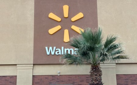Walmart is selling a popular $279 grill for only $147, and shoppers say it's 'wonderful'