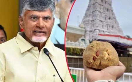 Tirupati Laddu row: Health Ministry seeks ‘detailed report’ over alleged presence of animal fat in ‘prasadam’
