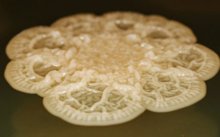 Some bacteria in your mouth can divide into as many as 14 cells at once