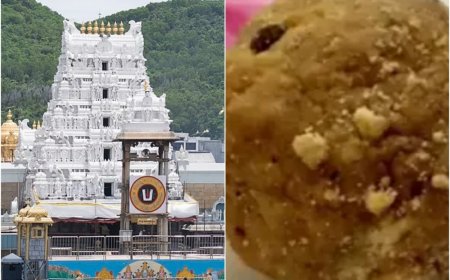 Temples must be ‘freed’ from govt control, handed to Hindus; how VHP reacted to Tirupati Laddu controversy