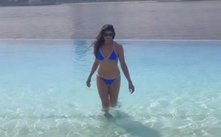 Meet actress who worked with many superstars, quit acting after getting married at peak of career, moved to US, got divorced and then…