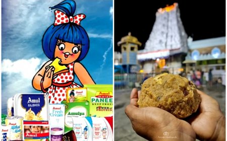 What is the link between Amul and Tirupati Laddus? Why dairy brand files complaint against…