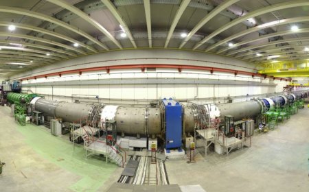 Physicists just discovered the rarest particle decay ever