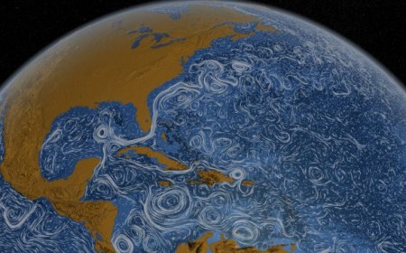 A vital ocean current is stable, for now