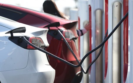 Study: EV charging stations have a secret built-in business benefit