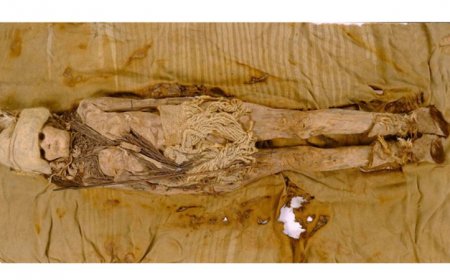 The world’s oldest cheese is now revealing some of its secrets