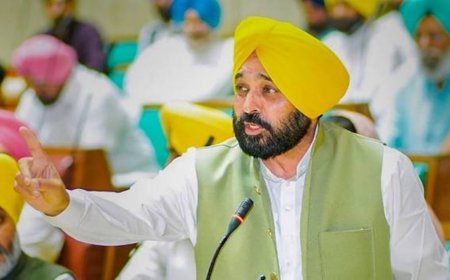 What is leptospirosis? All about deadly animal-borne infection Punjab CM Bhagwant Mann is suffering from