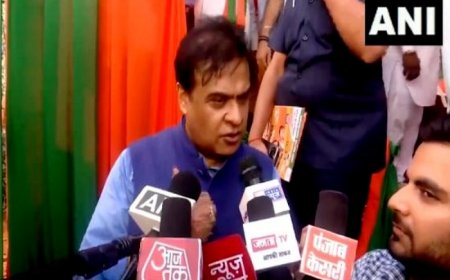 Haryana Assembly Elections 2024: Assam CM Sarma slams Rahul Gandhi for spreading lies during LS polls, calls it part of international conspiracy